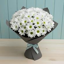 Букет цветов из:  Хризантемы #REPLACE_PRED# Семеновское
