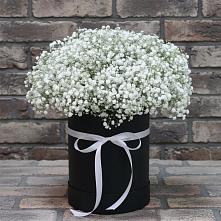 Цветочная композиция из Гипсофила в шляпной коробке в Семеновское