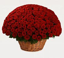 Премиум букет из: Розы #REPLACE_PRED# Семеновское