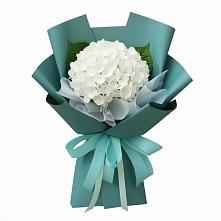 Букет цветов из:  Гортензия в Семеновское